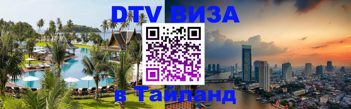 Оформление DTV визы под ключ: стоимость и тарифы, только загранпаспорт - Рубцовск 